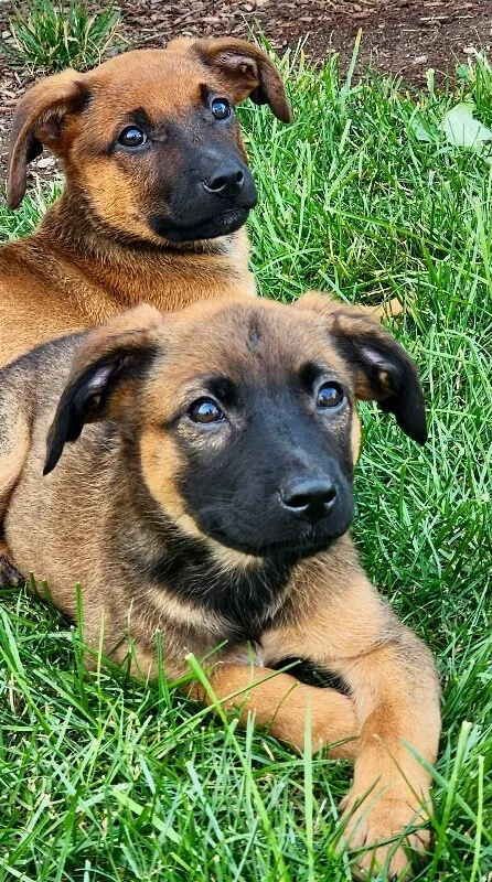 Cara — Mix